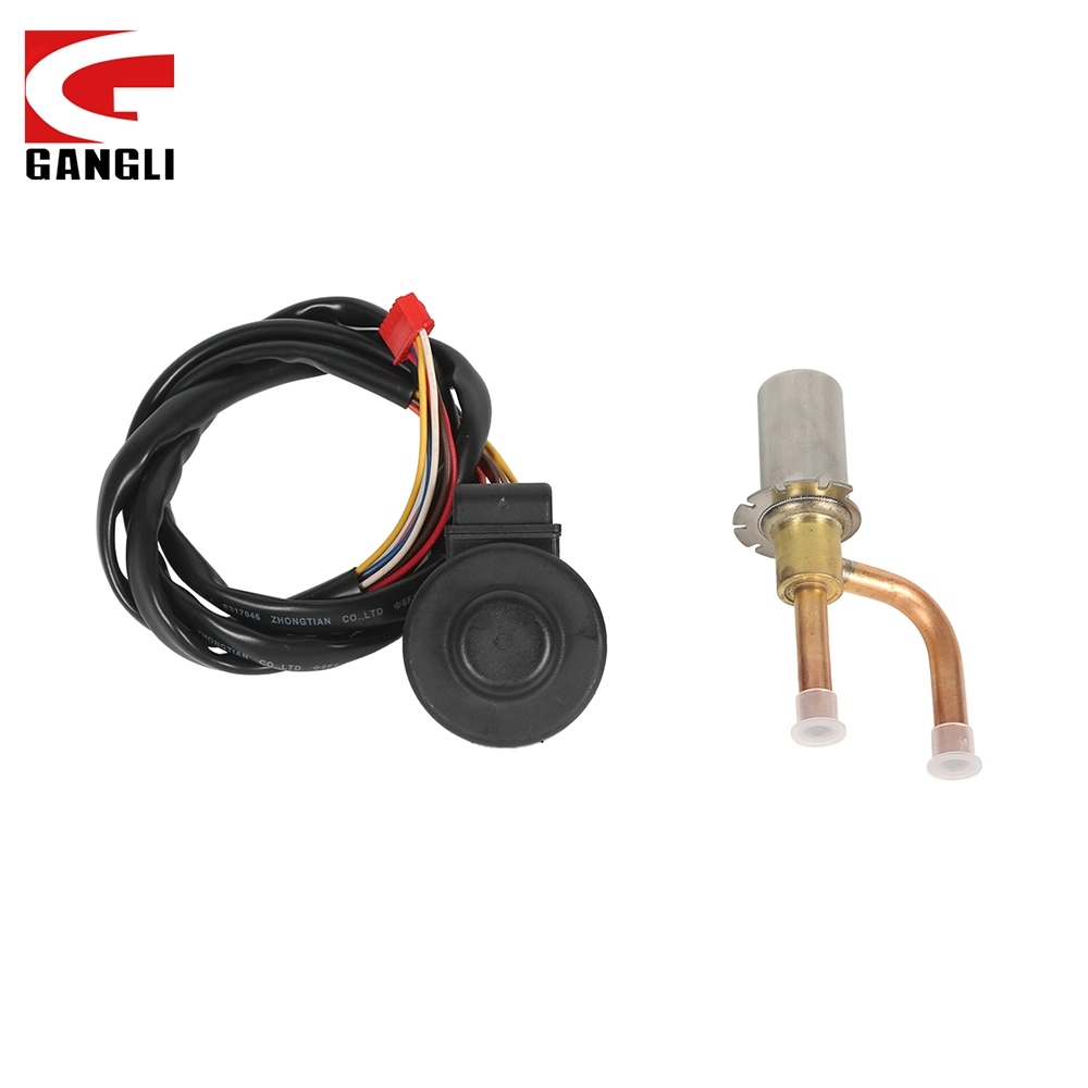 for Wholesale/Supplier Gangli Expansion Valve Energy-Saving Control Valve