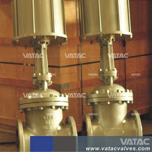 Vatac Wcb/Ss304/Ss316cast Steel Gate Valve with RF/Rtj