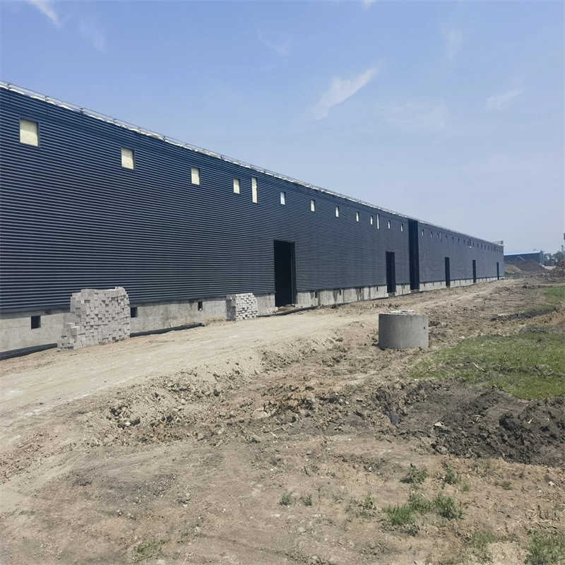 High Strength and High Seismic Resistance Fast Installation Prefabricated Steel Structure Construction