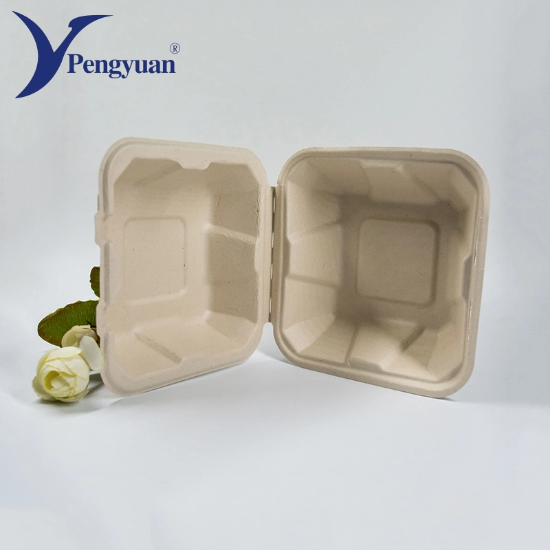 Disposable Sugar Cane Pulp Food Container Box