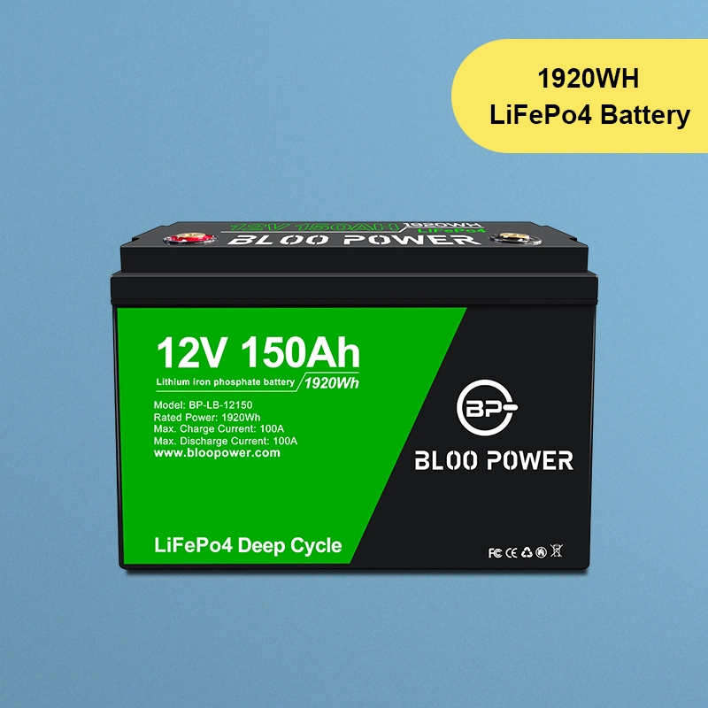 Bloopower Power Supply Solar Energy Storage System High Capacity Intelligent LFP Liion Lithium-Ion Powerbank