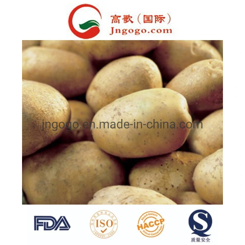 Fresh Yellow New Crop Potato (50-100g)