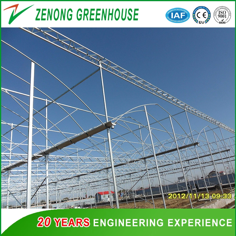 Agriculture Plastic Film Multi-Span Greenhouse with Wet Curtain for Seedling Breeding/Flower Cultivation/Sightseeing