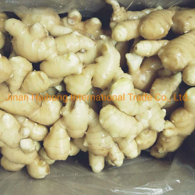 Dry Ginger with Good Price and Quality