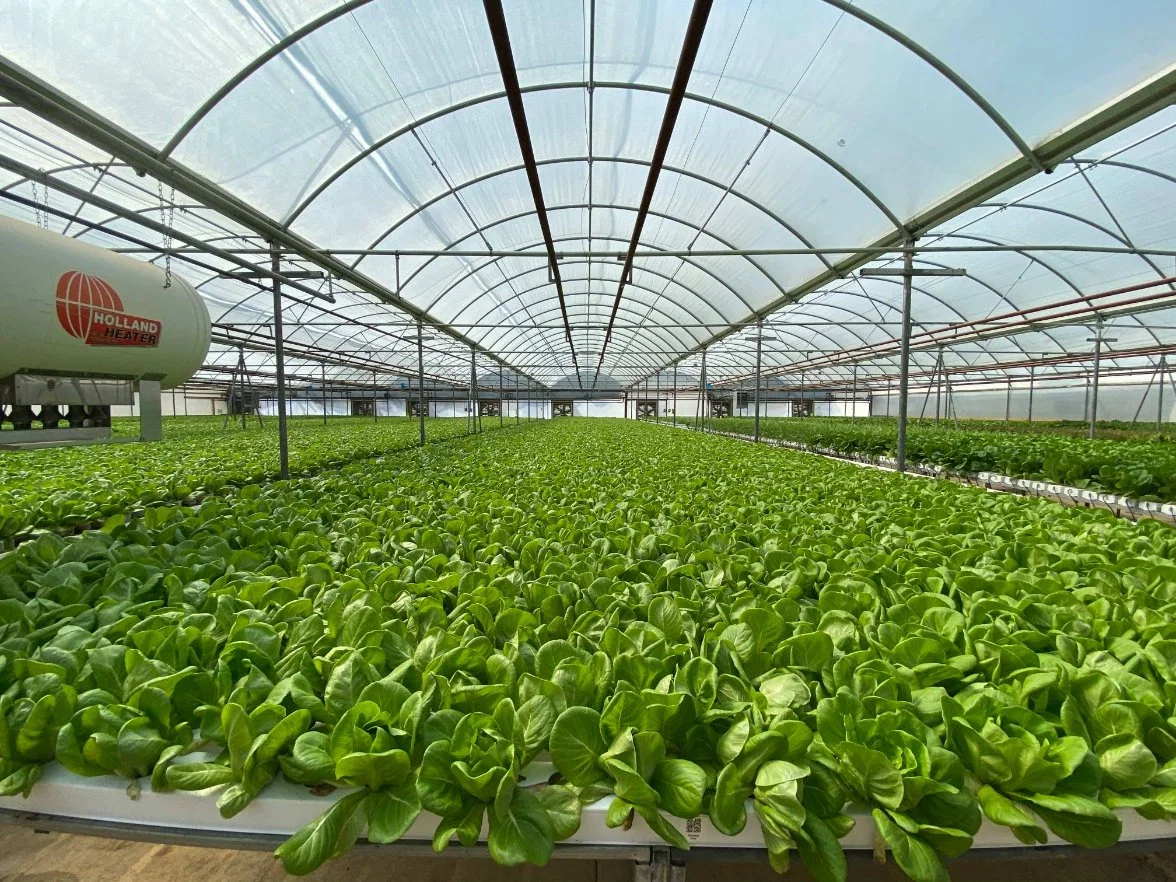 100*50mm UV Resistant Aquaponics PVC Square Pipe Nft Hydroponic Channel for Sale