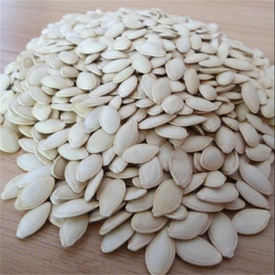 Grade AAA Hot Sale Pumpkin Seed New Crop