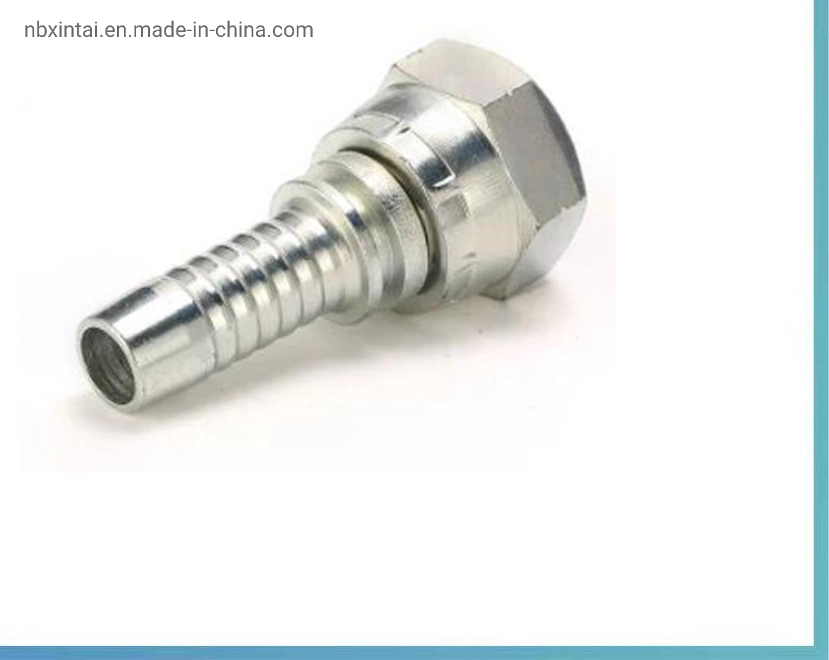 OEM Custom China fabricante de la fábrica General Conector manguera adaptadores hidráulicos férula Precio competitivo Accesorios masculinos adaptadores Bsp precio cruzado Ningbo ODM.