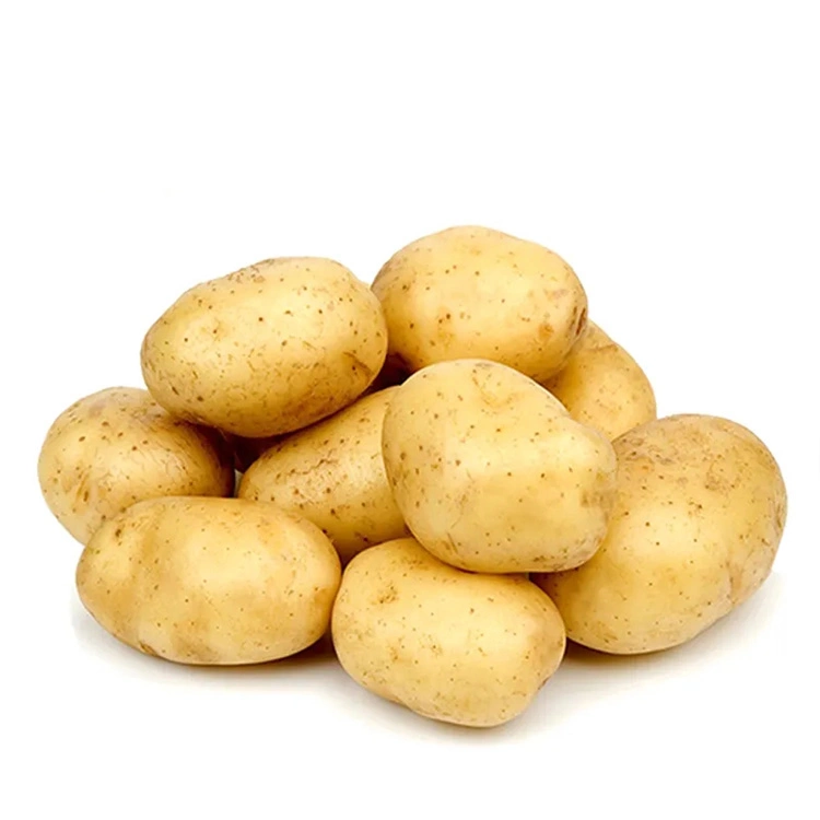 Fresh New Crop Potato From China