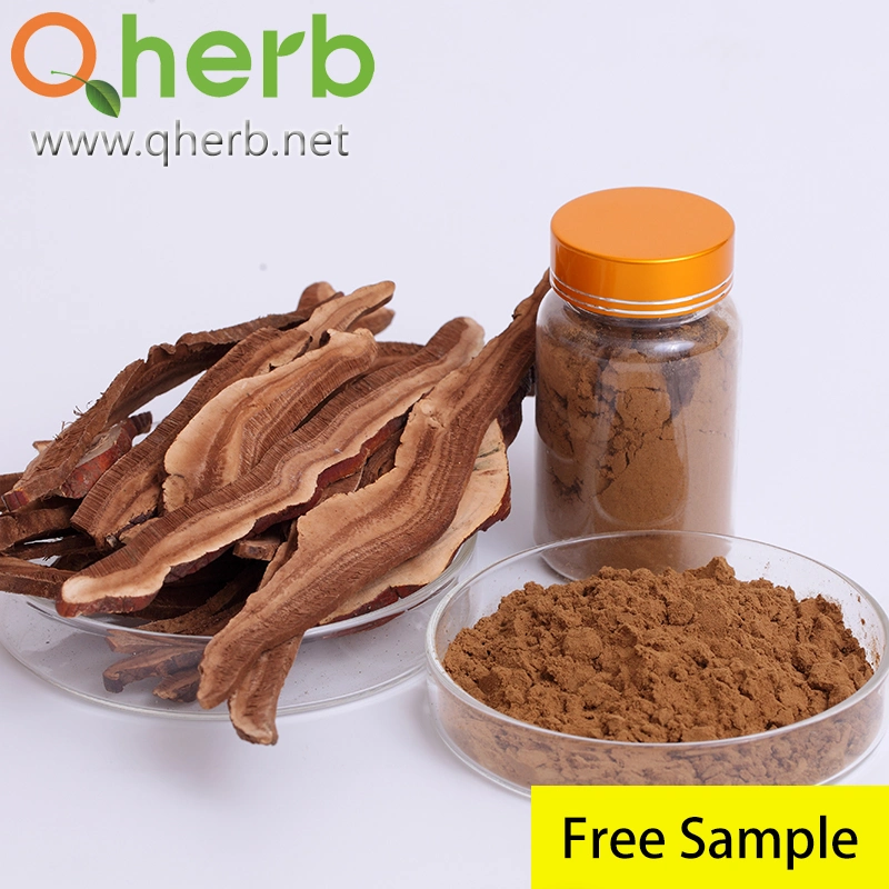 Ganoderma Lucidum Extract Lingzhi of 20% Free Sample