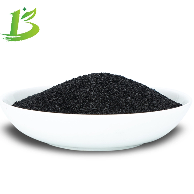 Professional Export Supplier Coconut Shell Activated Carbon