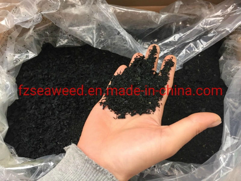 Factory Wholesale/Supplier Dried Seaweed Kelp Wakame Cut