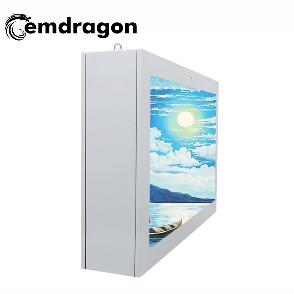 Outdoor Advertising Machine with 65 Inch Wind-Cooled Cross-Screen WiFi LCD Display with Remote Control Advertising