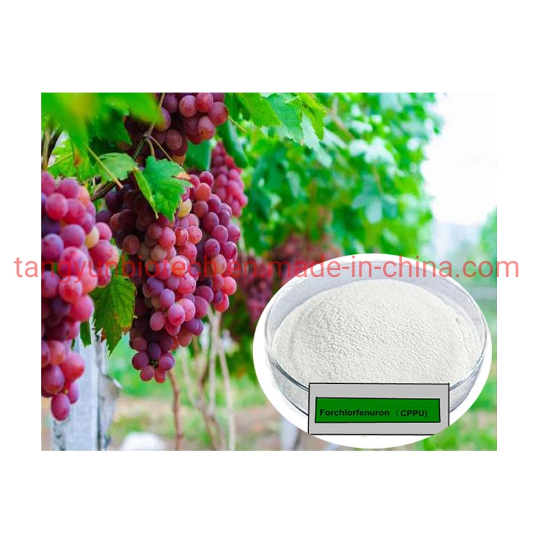 Plant Hormone Cppu Forchlorfenuron 4-Cppu 0.1%Sp Soluble Powder