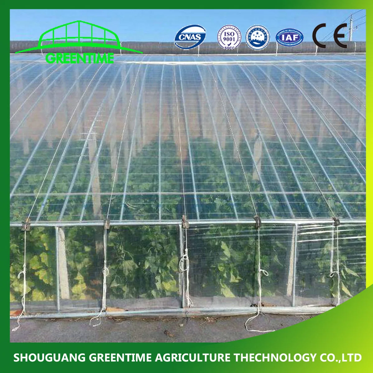 2021 Hot Sale Economical 3 Layers Plastic Film for Agriculture