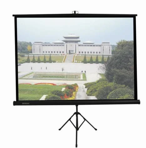 84"X84" Matte White Tripod Manual Projection Screens