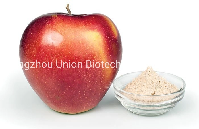 Food Ingredient E440 Apple Pectin CAS 124843-18-1