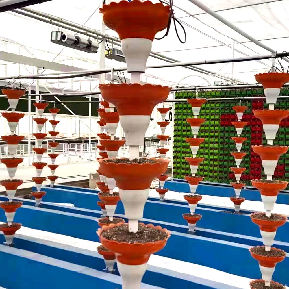 Nutrient Solution Customized Tropical Frigid Zone Vertical/Shape Hydroponics System with Nft Pipeline for Cherry/Cucumber/Eggplant