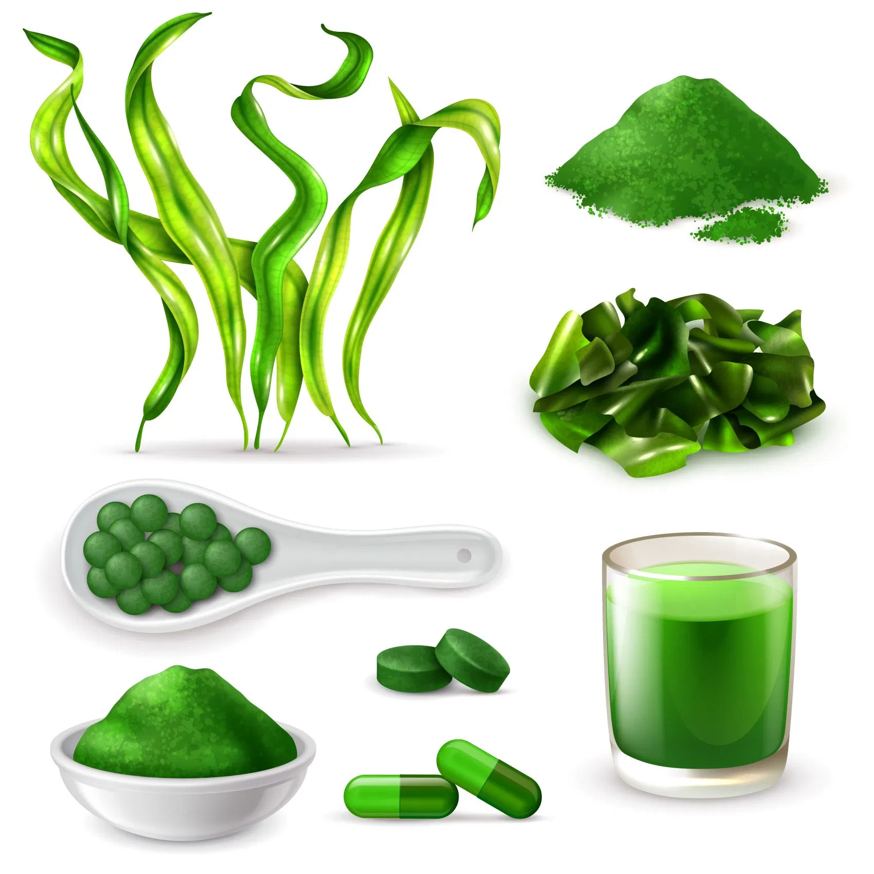 High Nutrition Supplement Cyanobacteria Spirulina Powder for Food