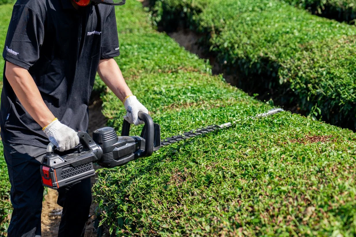 60V Battery Cordless Hedge Trimmer