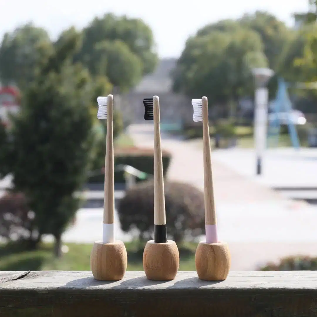 Nueva ronda de bambú biodegradable Mango Cepillo de dientes