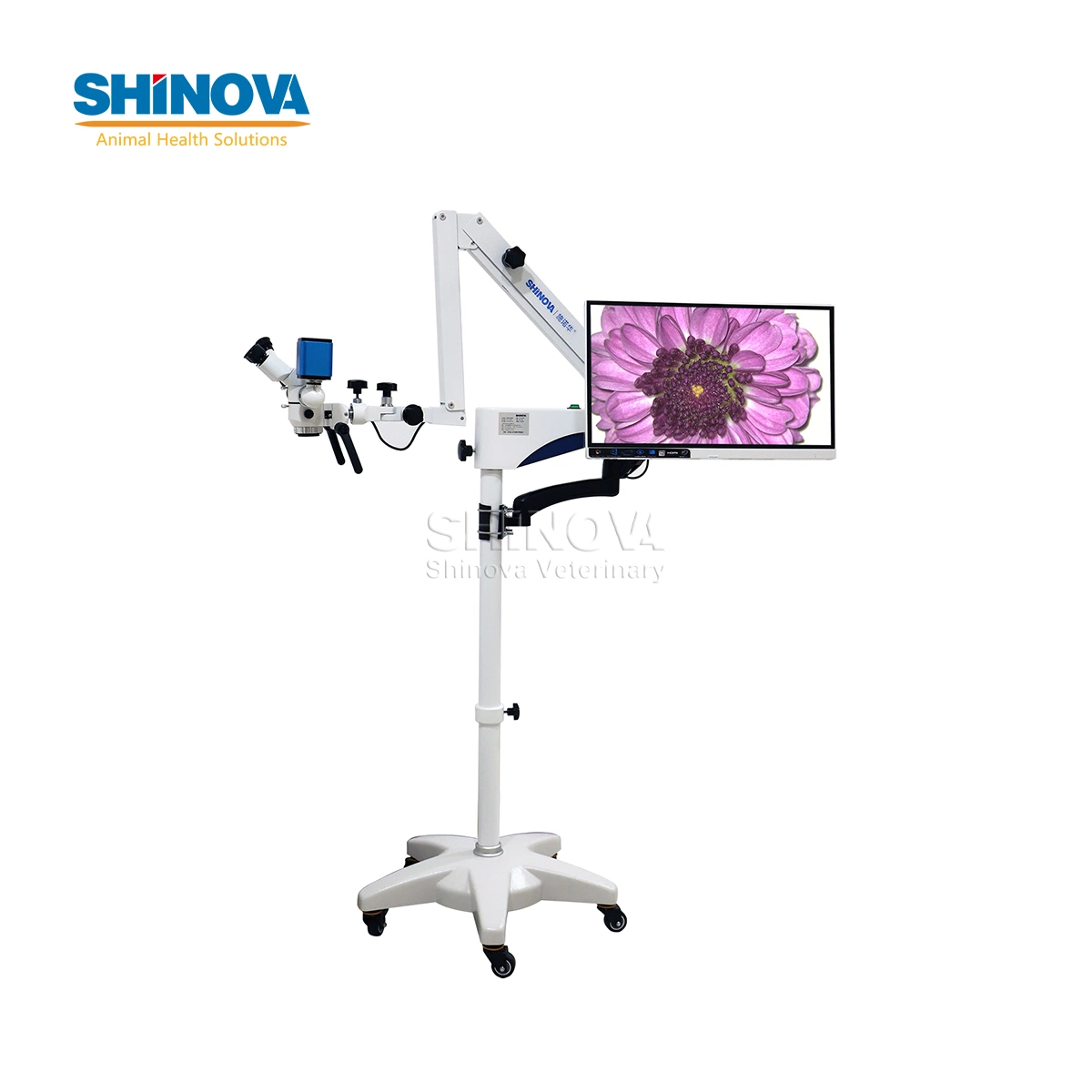 Vet Coaxial Illumination Operation Microscope (EOM-200TB)