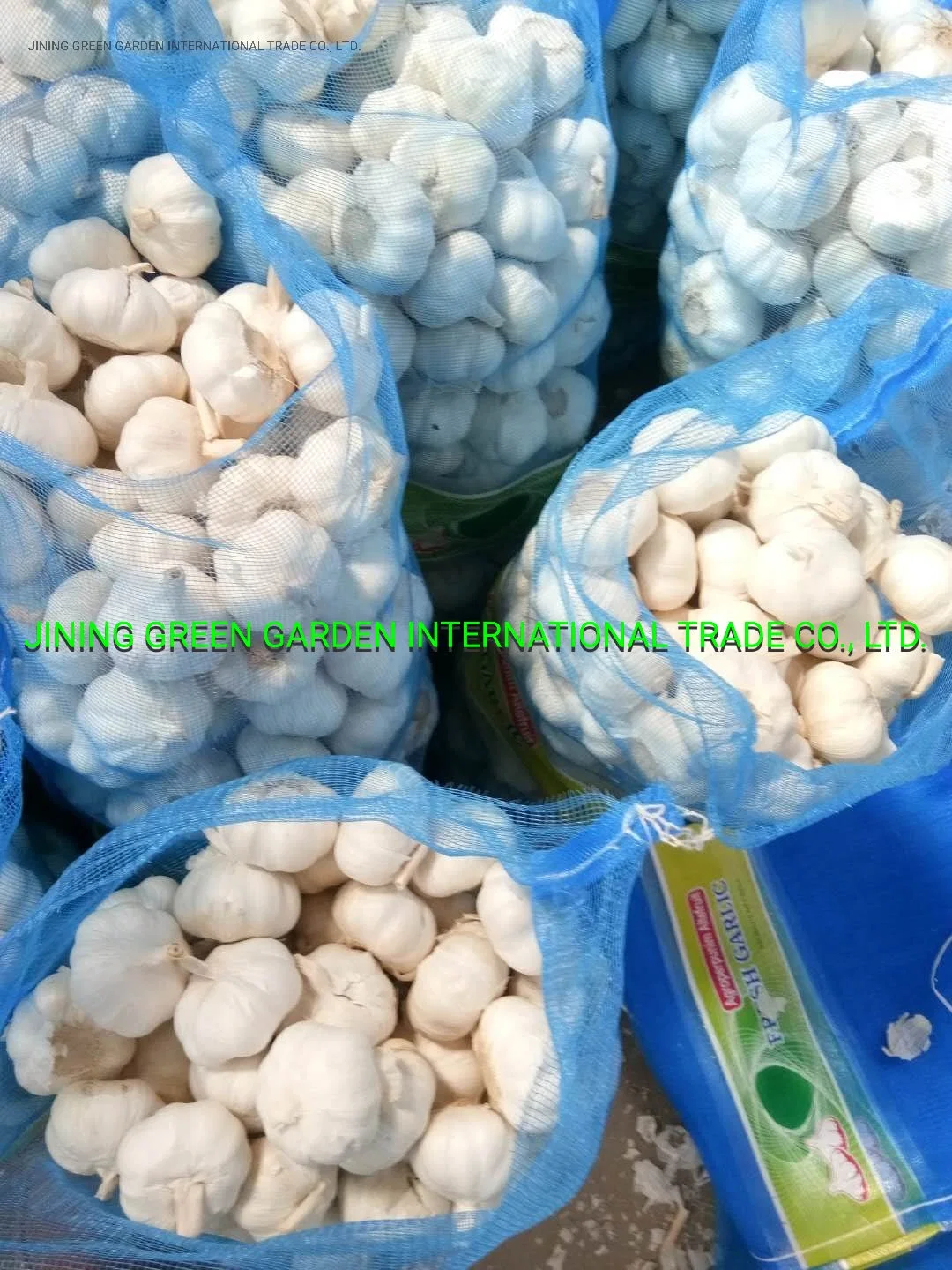 2022 New Crop China Fresh Garlic Top Quality Chinese Fresh White Garlic and Normal White Garlic in Different Size and Packing 4.5, 5.0, 5.5, 6.0, 6.5cm and up