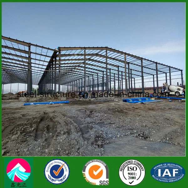 Prefabricated Customized Steel Structure Project Building Cold Storage Room with ISO&SGS Certified