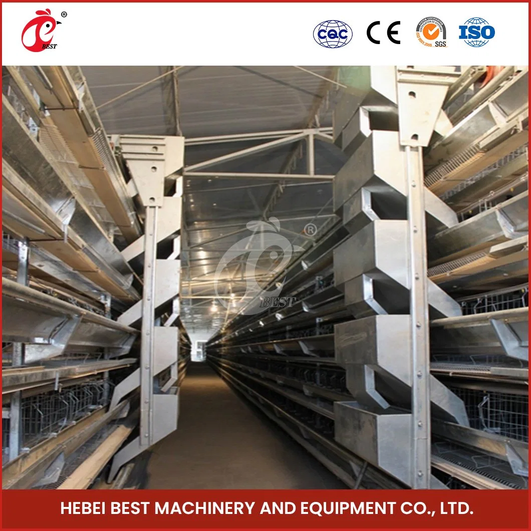 Bestchickencage H Type Layer Cage China Enclosed Chicken Layer Coop Supplier OEM Customized Feces Separation Design Modern Broiler Chicken Layer Cage