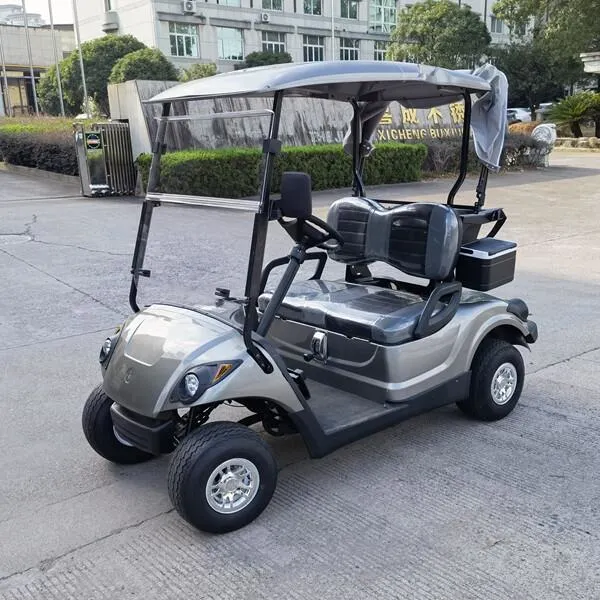 Chinese Factory Price 4 6 Seats Gas Vintage Car Classic Car Golf Cart Club Car for Sale