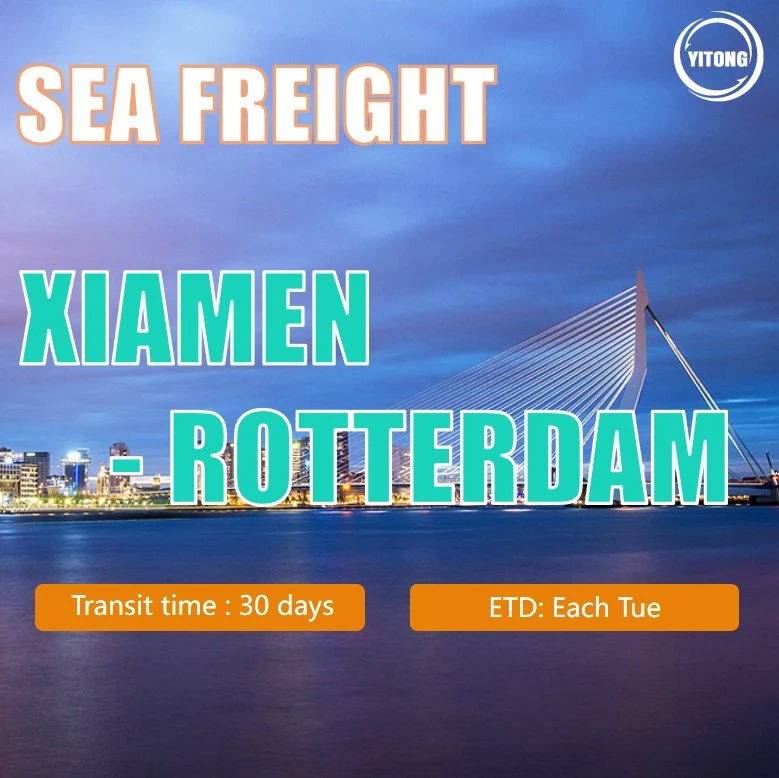 Sea Freight Rate From Xiamen to Rotterdam