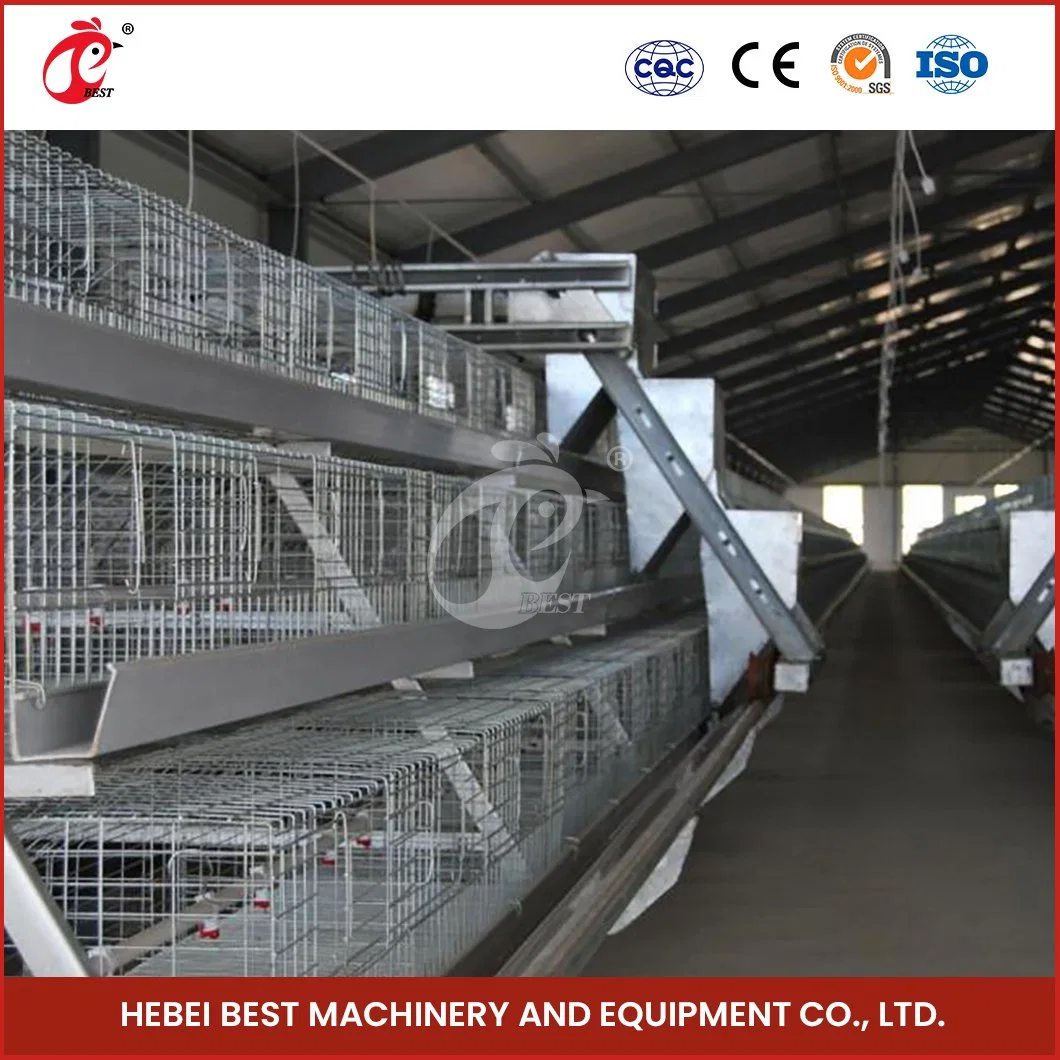 Bestchickencage China 20 Hens Chicken Coop Manufacturer a Frame Automatic Broiler Cages Custom Land and Space Saving Simple Cage for Chicken