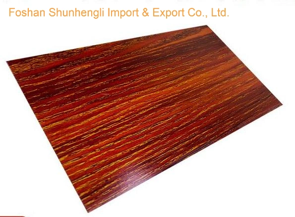 316 Etched Surface Stainless Steel Sheet with Wood Grain Color