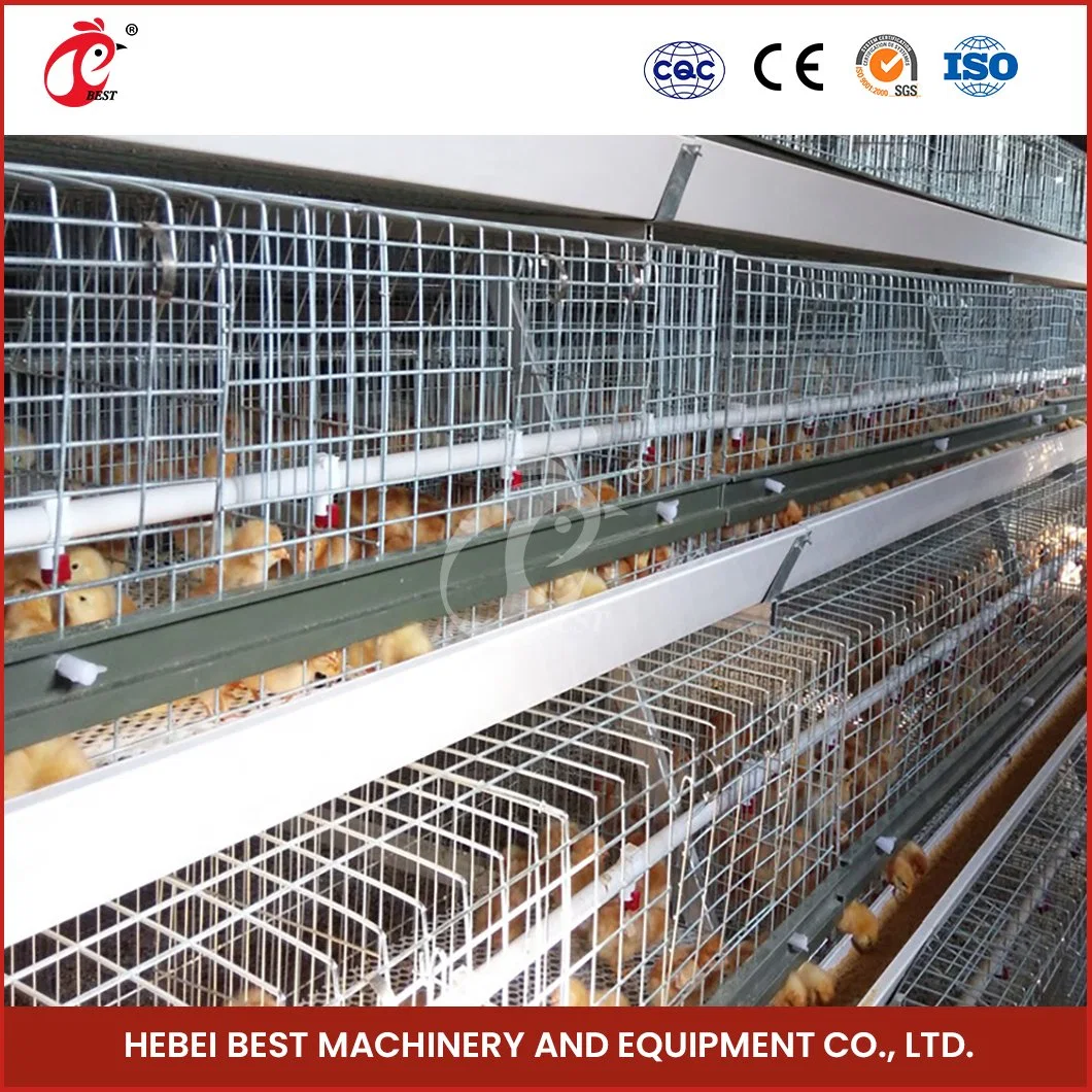 Bestchickencage China Chicken Cage Design Herstellung eines Rahmen Automatische Broiler Käfige ODM Custom Wood Material Hühnerstall zum Verkauf