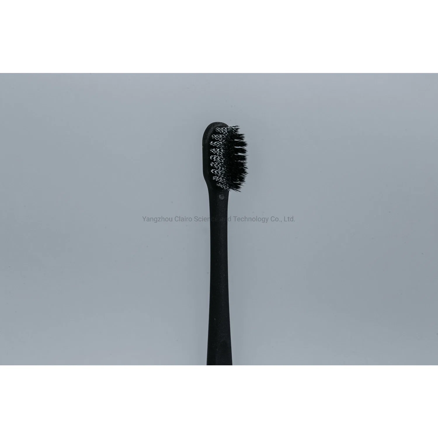 OEM Logo Competitive Price on Time Delivery Adult Toothbrush