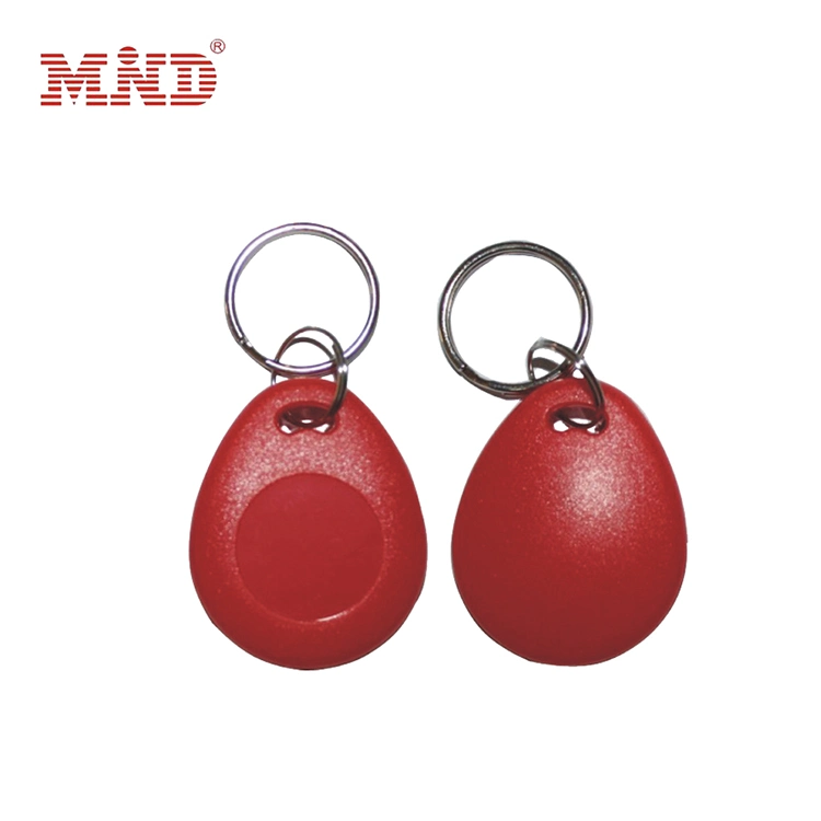 RFID Key Fob Auto 125kHz Rewritable Blank RFID Key Fob/ Key Tag