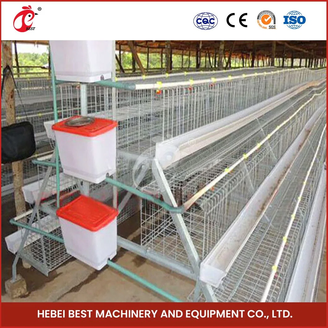 Bestchickencage a Tipo capa jaula China capa jaula Equipo de pollo Muestra de fábrica disponible Pollo de capa de aves de corral Configuración contenedor de envío Coop