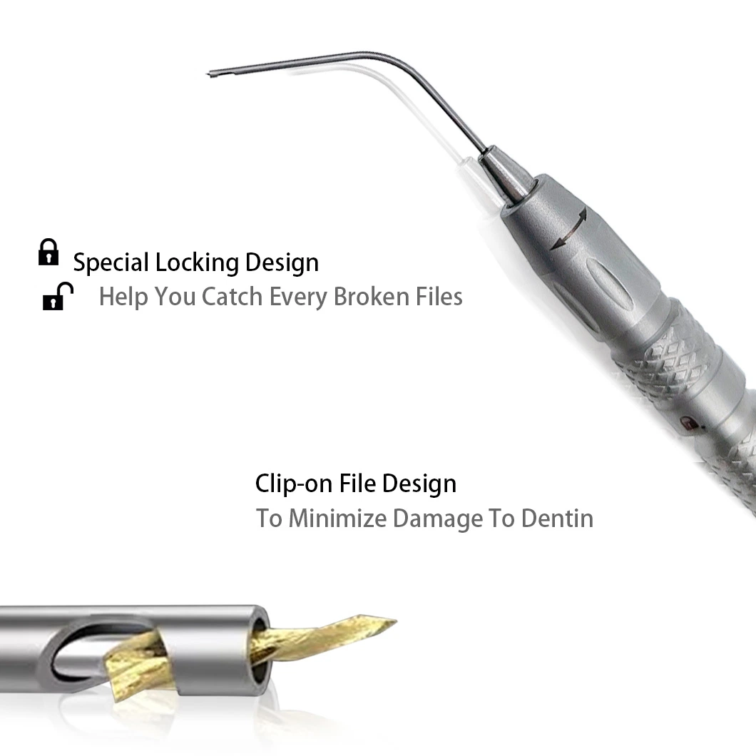 Fornecedor de fábrica instrumento Enodôntico Aço inoxidável Dental Root Canal Extrator Sistema de remoção de ficheiros dentários