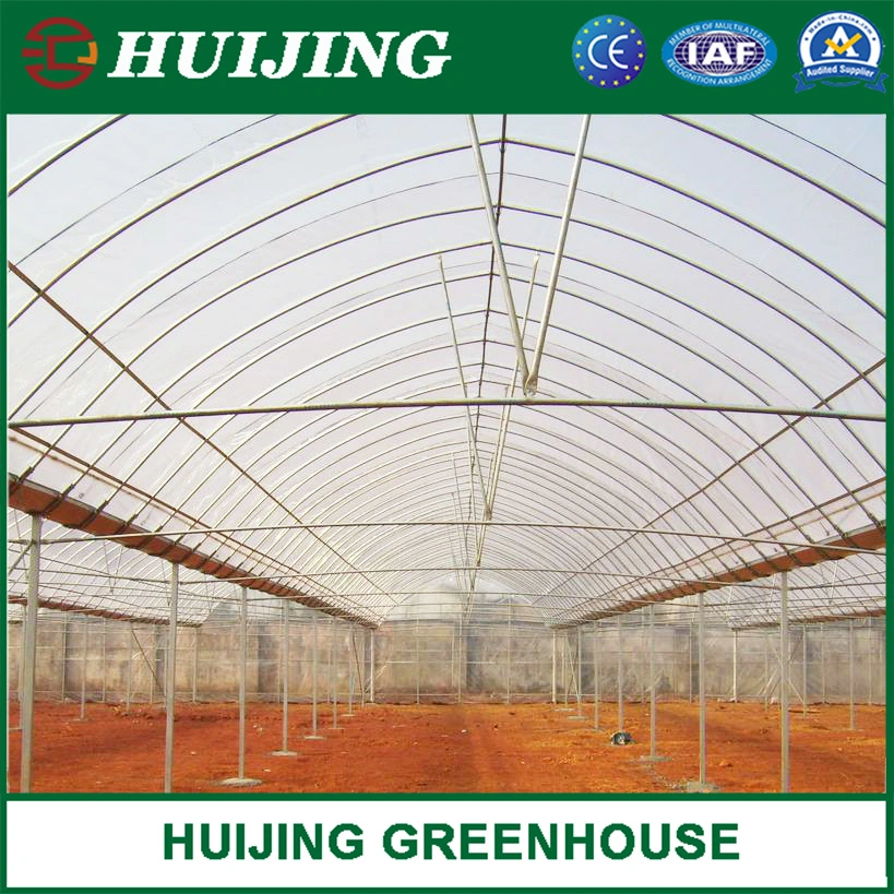 Hot Sale Farm/Garden/Agricultural Hydroponic Growing Plastic Film Greenhouse for Planting