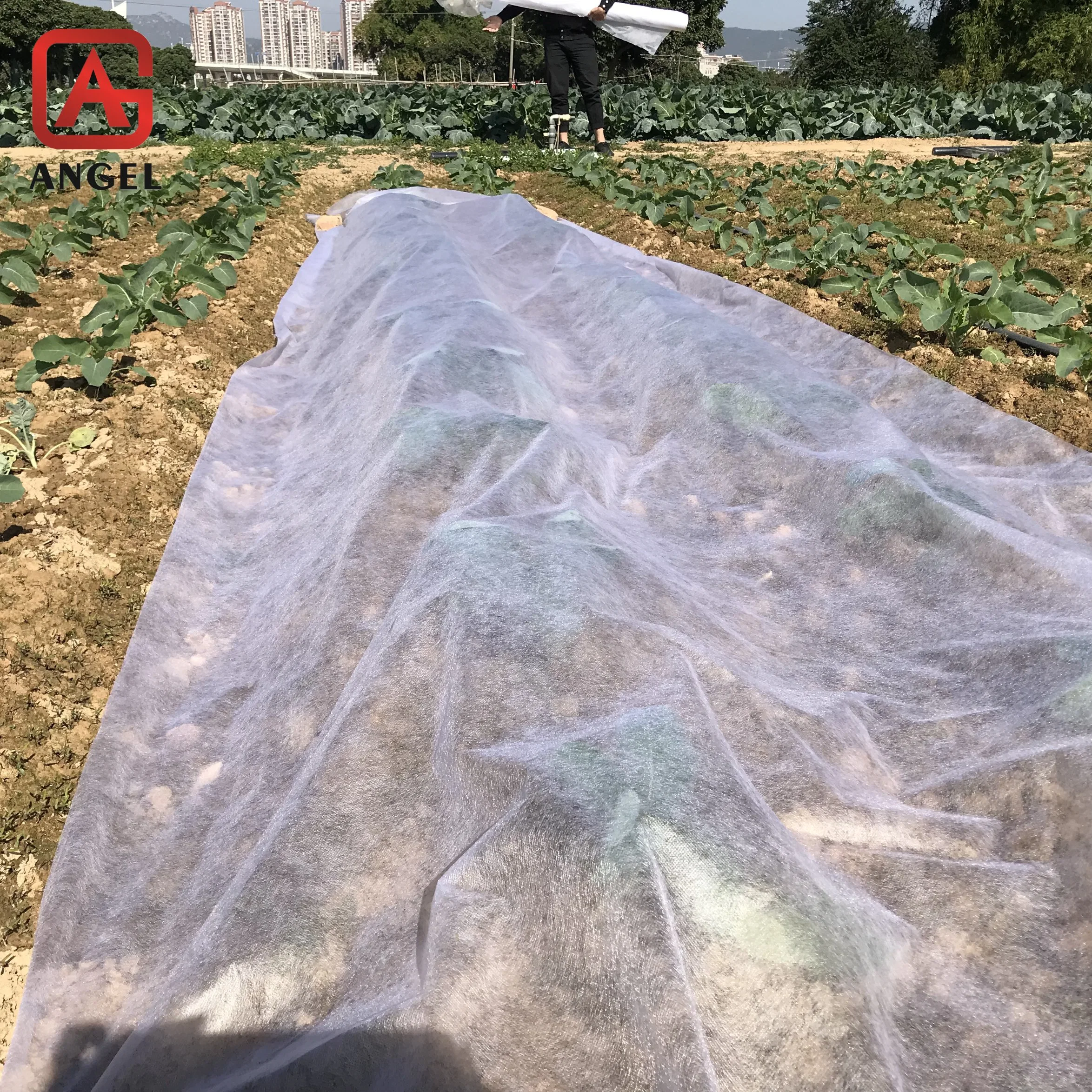 Add UV 100%PP Nonwoven Agriculture Cover Fabric