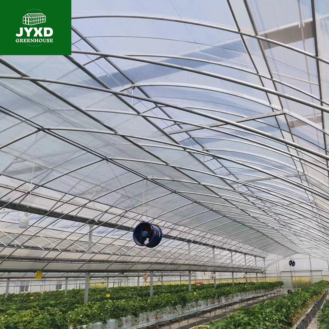 Modern Agriculture Plastic Film Multi-Span Greenhouse for Vegetables/Fruits/Flowers/Tomato/Cucumber/Strawberry