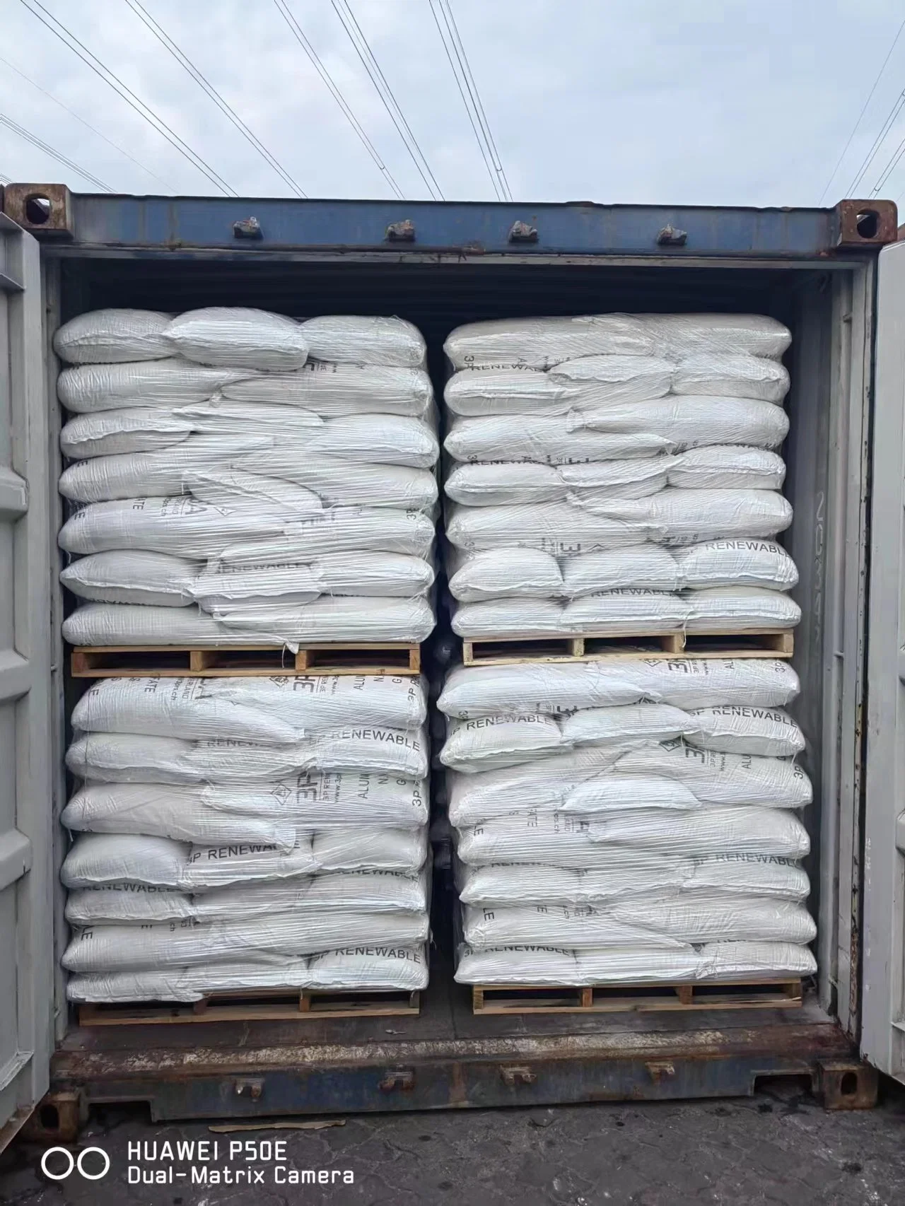 Bulk Shell Oyster Pellet Granular Animal Feed Hühnerfutter Calcium Ergänzung 1-3mm 10-30mesh