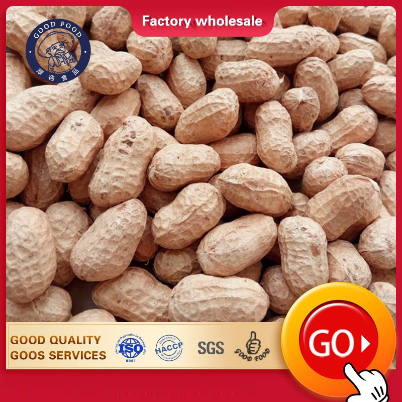 Craftsmanship Milk Taste Roasted Peanuts in Sturdy Bulk Milk Taste