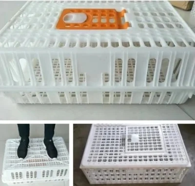 Hot Sale High quality/High cost performance Plastic Chicken Transport Cage for Poultry Farm Used