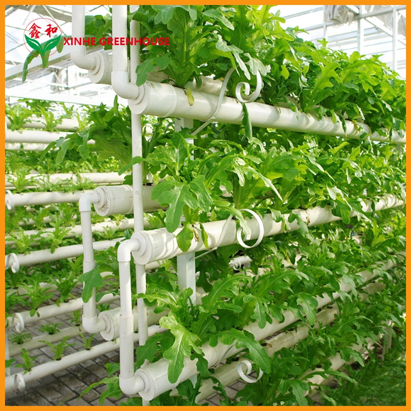 Good Service Fertilization Full-Size Greenhouse Planting Spreader Produce Used for Farm Corn Distributor Water and Fertilizer