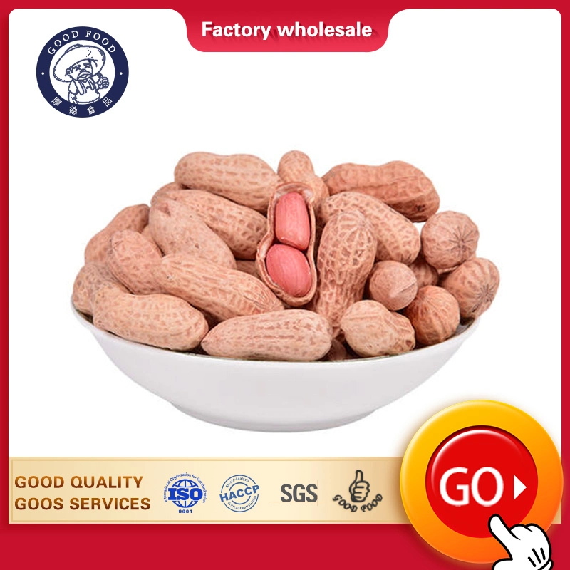 Price Cheap Chinese Peanuts in Shell with Competitive Price