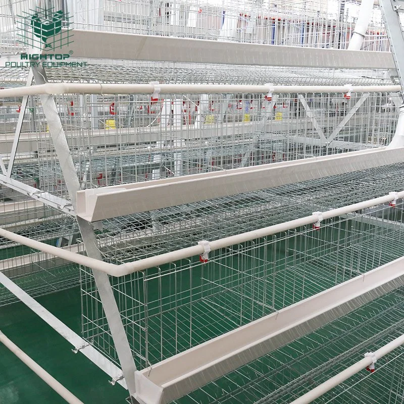 Hot Sale Wholesale Price A Type Poultry Farm Chicken Layer Cage In Uganda With Automatic Water System