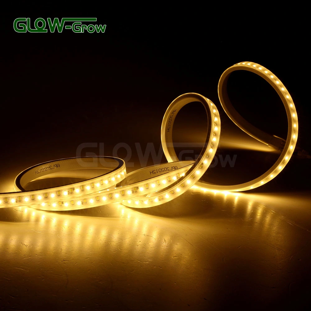 164FT Dual Color Flexible LED Rope Light Strip SMD 2835 LEDs with Dimmable IP65 Waterproof Remote Controller