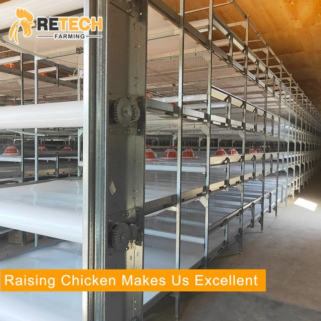 Automatic Poultry Farm Broiler Feeding System Broiler Chicken Raising Equipment