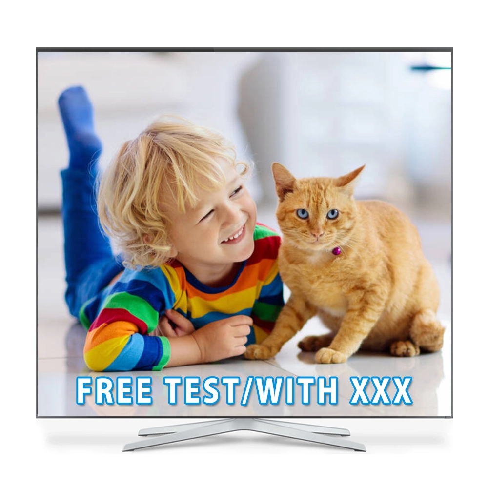 12month IPTV Subscription Android TV Box M3u List Free Test IPTV Reseller Panel IPTV