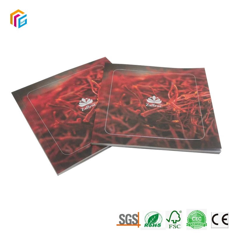 Professional Custom A4 A5 Perfect Binding Softcover Offset Photo Full Color Silk Paper Brochure Paperboard Magazine Printing